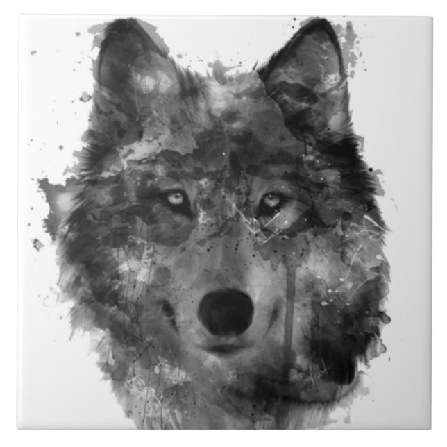 (6" X 6") teja de cerámica grande de la foto (Frente)