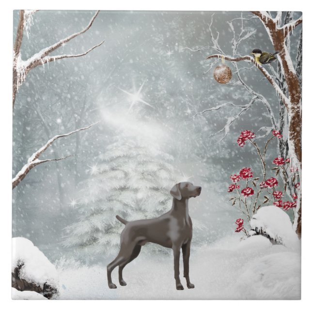 (6" X 6") teja de cerámica grande de Weimaraner (Frente)