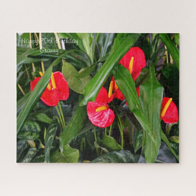 70.ª abuela. Rompecabezas (Horizontal)