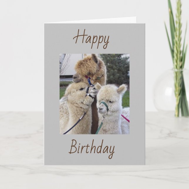 **70th* QUISITOS DE CUMPLEAÑOS - Tarjeta ESPECIAL  (Anverso)