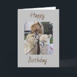 **70th* QUISITOS DE CUMPLEAÑOS - Tarjeta ESPECIAL<br><div class="desc">CUTE LA TARJETA PARA CUALQUIER MIEMBRO DE LA FAMILIA O BUENO AMIGO POR SEGURIDAD Y GRACIAS POR DETENERLA EN UNA DE MIS 8 TIENDAS. Y NO OLVIDES,  ¡PUEDES CAMBIAR LA "EDAD" Y LO VERSO DENTRO Y FUERA!</div>