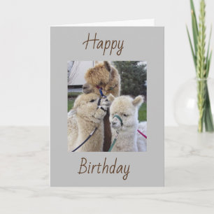 **70th* QUISITOS DE CUMPLEAÑOS - Tarjeta ESPECIAL 