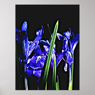 72" colosal x 52" y 52" x 72" arte de Giclée