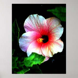 72" colosal x 52" y 52" x 72" arte de Giclée