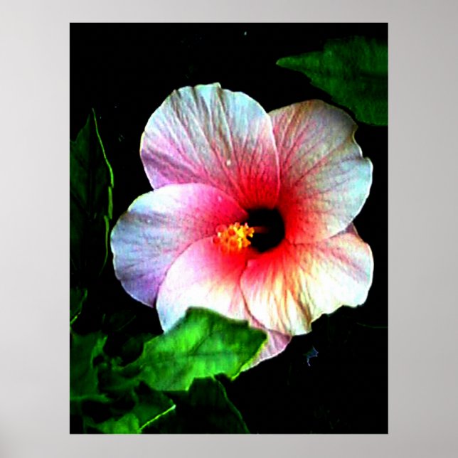 72" colosal x 52" y 52" x 72" arte de Giclée (Frente)