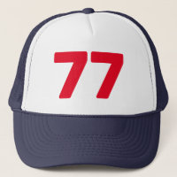 77.o gorra feliz del camionero de la fiesta de