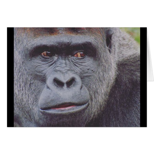 7.º silueta (Anverso (Horizontal))