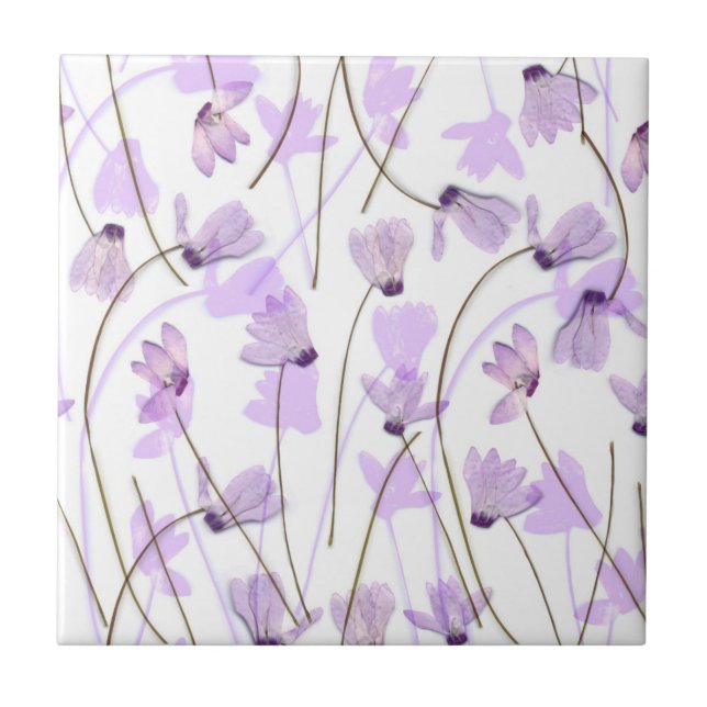 #7 de florecimiento - Teja púrpura del Cyclamen (Frente)