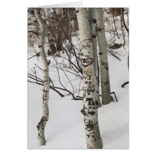 87. Graffit de árboles y nieve prístina, Colorado