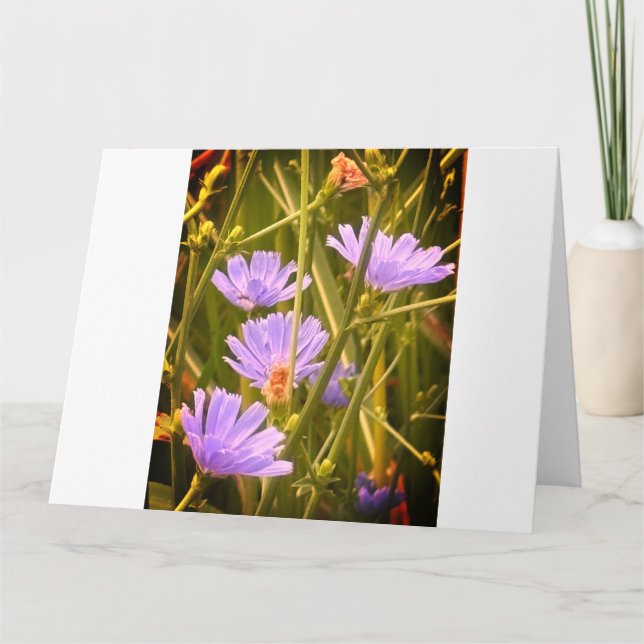 8.º tarjeta (Anverso)