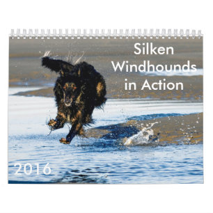 8 2016 Windhounds de seda en calendario de la