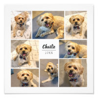 8 Collage de fotos de impresión personalizada de f