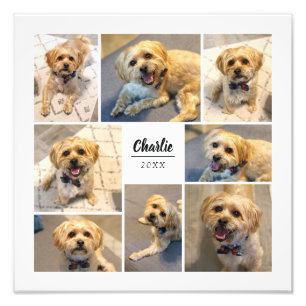 8 Collages de fotos de impresión fotográfica perso