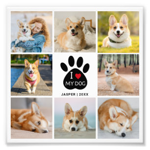 8 Fotos Collage Amo a Mi Perro Foto Ampliada