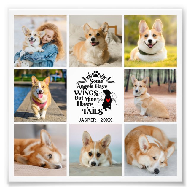 8 Mascota de Collages de fotos Perdida de perro Am (Frente)