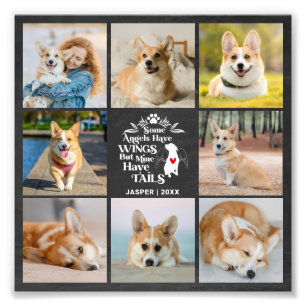 8 Mascota de Collages de fotos Perdida de perro Am