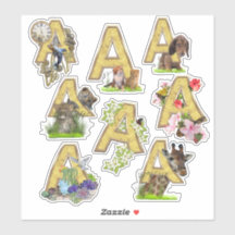 8 Pegatinas Capital A