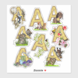 8 Pegatinas Capital A