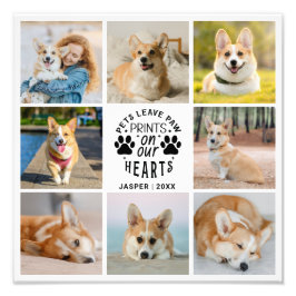 8 Recordatorio Mascota de Collage de fotos Foto Am