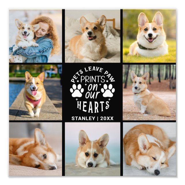 8 Recordatorio Mascota de Collage de fotos Foto Am (Frente)