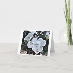 8 Tarjetas de notas de flor de Magnolia