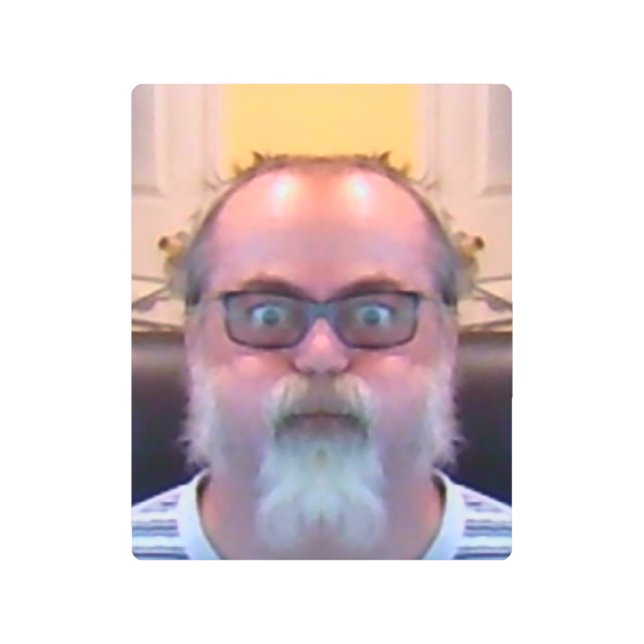 8" x 10", arte metalizado (Anverso)