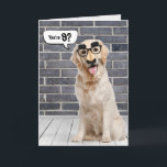 9.ª Funny Tarjeta Golden Retriever de cumpleaños<br><div class="desc">Un usuario de oro con una divertida máscara de bigote en la pared de ladrillo gris y el suelo de madera con burbuja de habla por noveno cumpleaños. Se puede cambiar por cualquier cumpleaños de edad. El texto es editable.</div>