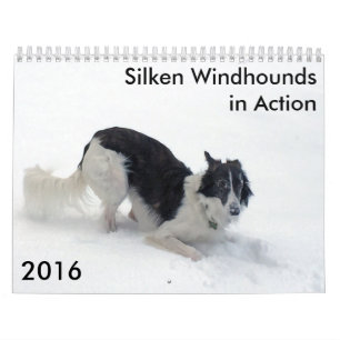 9 2016 Windhounds de seda en calendario de la