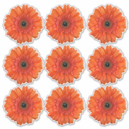 9 Naranjas Gerbera Daisy Flower Kiss Cut Pegatinas