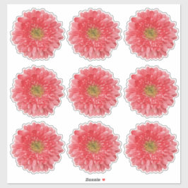 9 Pegatinas de Flor de Gerbera de Coral con Corte 