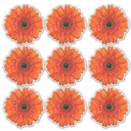 9 Pegatinas de Flor de Gerbera Naranja Kiss-Cut