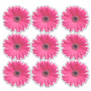 9 Pegatinas de Flor de Gerbera Rosa