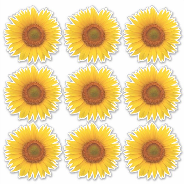 9 Pegatinas de flor de girasol Naranja amarillo be (Anverso)