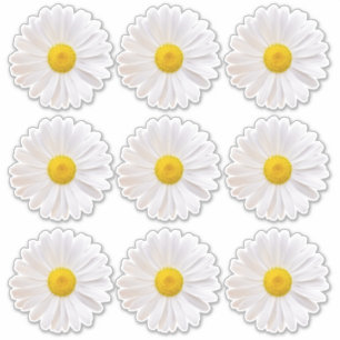 9 Pegatinas de Flor de Margarita Shasta con Corte 