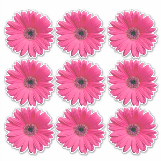 9 Pegatinas de flores de gerbera rosa Kiss-Cut (Anverso)