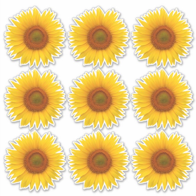9 Pegatinas de flores de girasol naranja amarillo  (Anverso)
