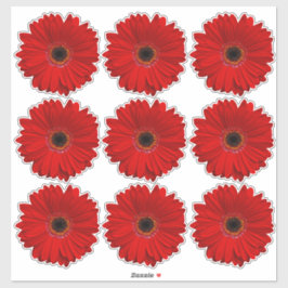 9 Pegatinas Red Gerber Daisy Flower Kiss Cut