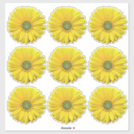 9 Pegatinas Yellow Gerber Daisy Flower Kiss Cut
