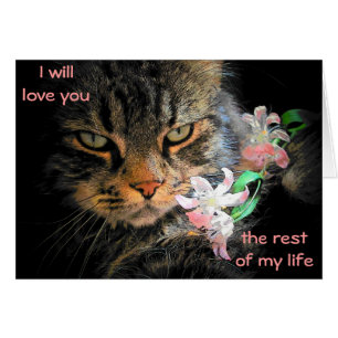 9 vidas para amarle gato Meme