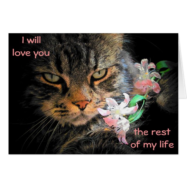 9 vidas para amarle gato Meme (Anverso (Horizontal))