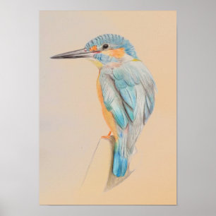 A3 Impresión de dibujo de lápiz de Kingfisher