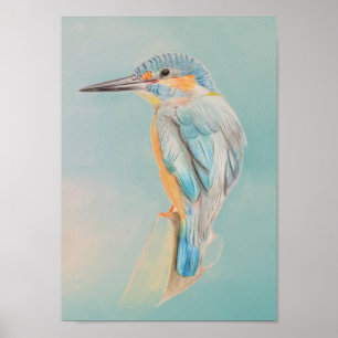 A4 Impresión de dibujo de lápiz de Kingfisher