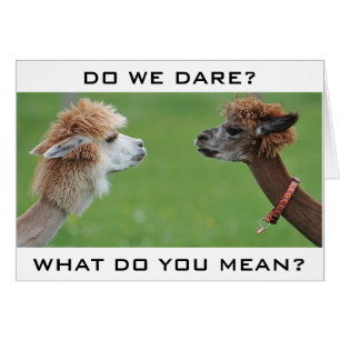 A APLACAS LE PREOCUPA DECIR "FELIZ 40 HUMOR