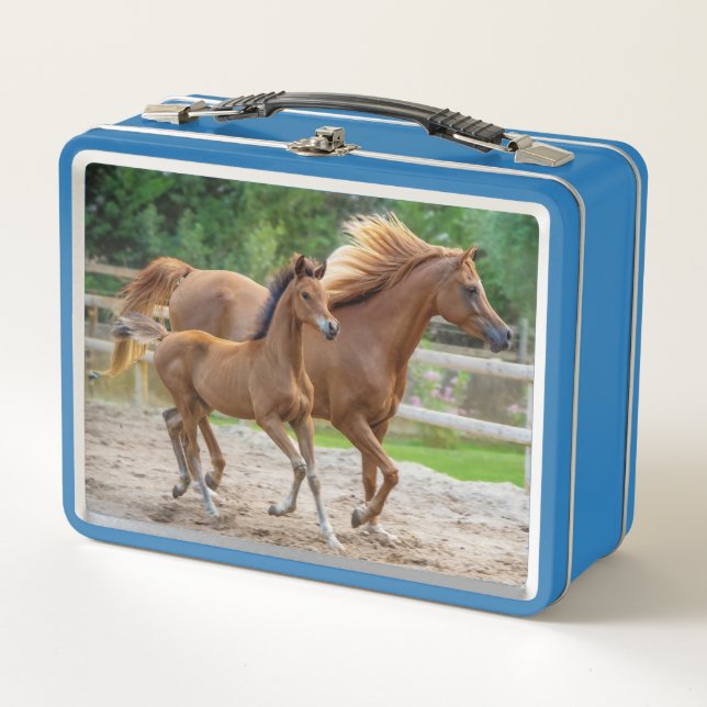 A Filly y a su mamá (Anverso)