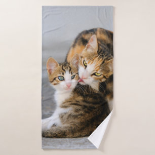A la madre gato le encanta la foto del Mascota ani