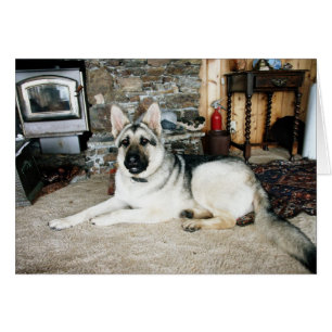 A la vista australiano/chimenea