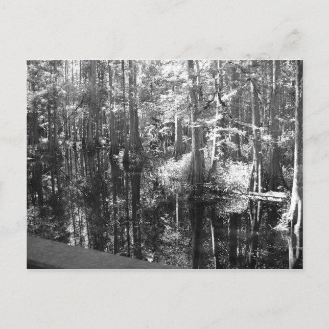 A lo largo de la postal bancaria (Anverso)