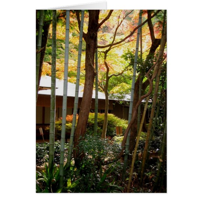 A lo largo de la trayectoria del filósofo (Frente)