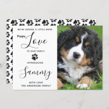 A los cachorros les encanta la nueva Invitación de