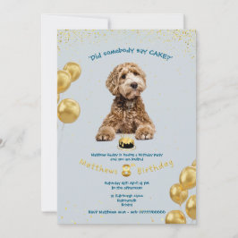 A los Cachorros Les Gusta La Invitación A La Fiest